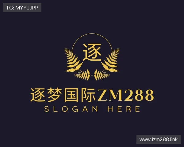 探究逐梦国际zm288